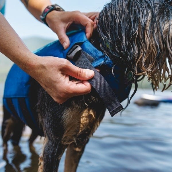 Ruffwear Float Coat Dog Life Jacket - Image 3