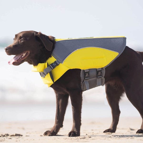 Canada Pooch Wave Rider Dog Life Jacket - Image 2