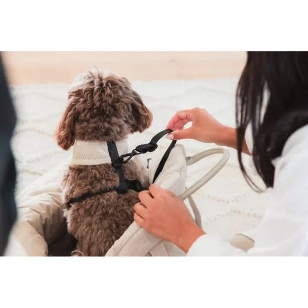 FuzzYard Life Multi-Purpose Carrier & Car Seat - Image 2