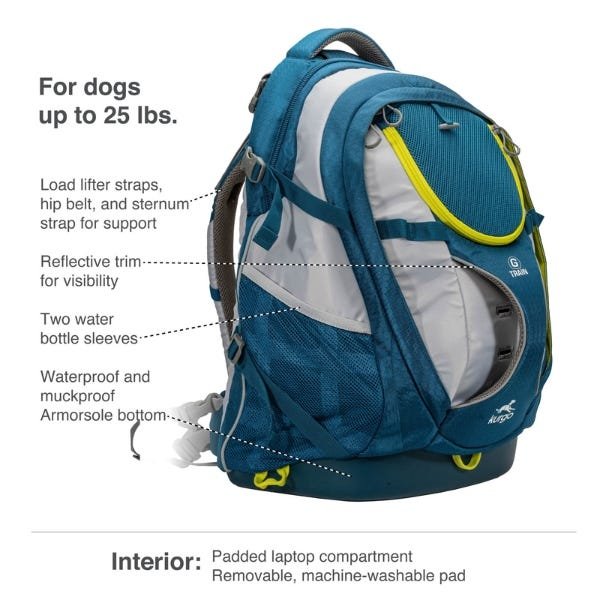 Kurgo G-Train Dog Carrier Backpack - Image 3