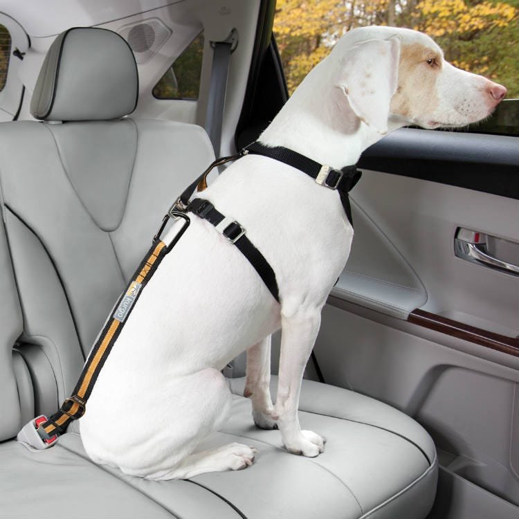 Kurgo Direct to Seatbelt Tether - Image 3