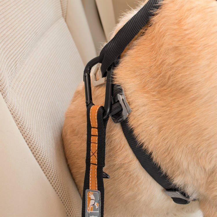 Kurgo Direct to Seatbelt Tether - Image 5