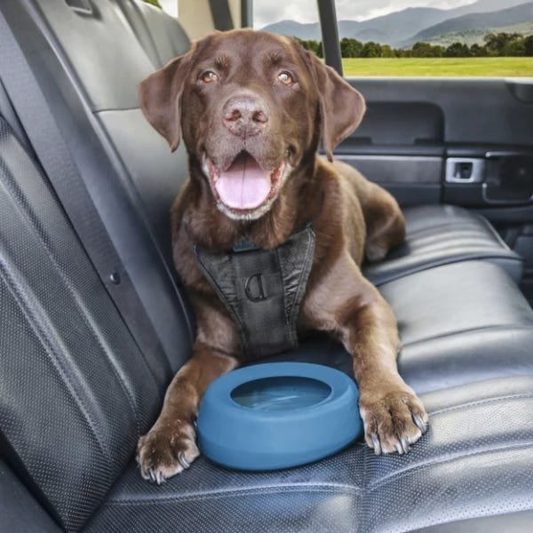 Kurgo Splash Free Wander Dog Water Bowl - Image 2