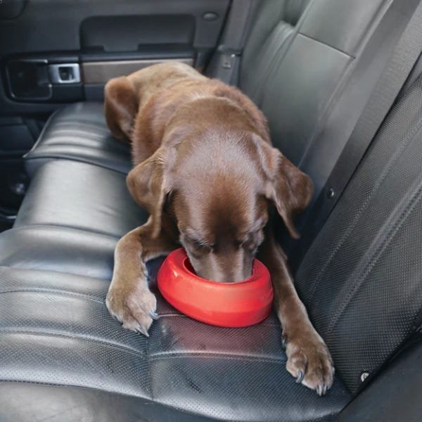 Kurgo Splash Free Wander Dog Water Bowl - Image 3